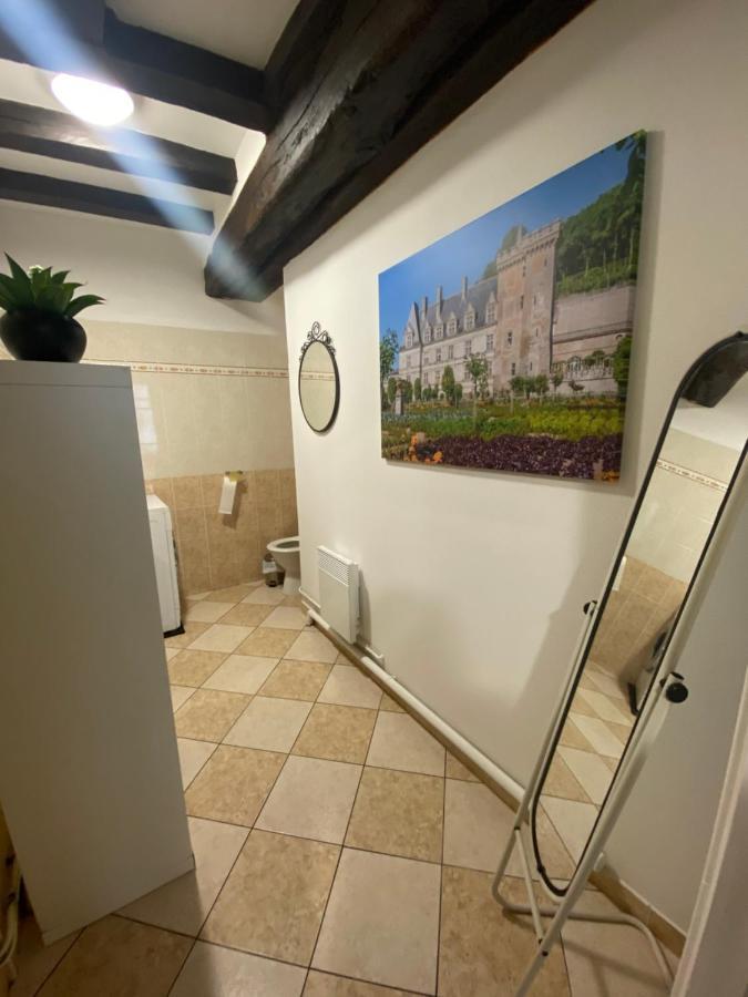 Logement De Groupe Au Centre D'Azay Le Rideau Kültér fotó